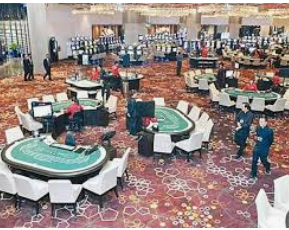 新普京com免费版