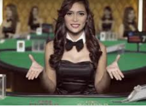 新普京com免费版